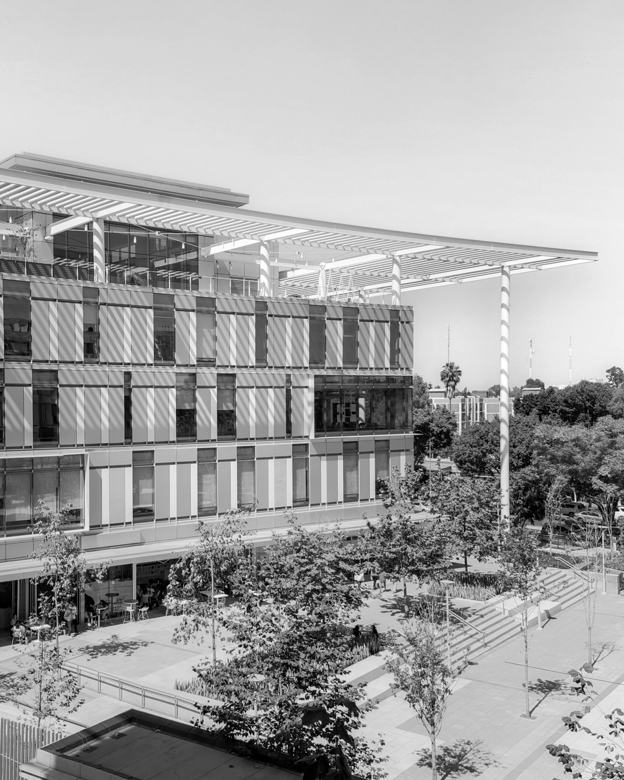 Black and white photo of a modern educational building exterior with trees in the foreground.
